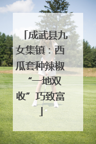 成武县九女集镇：西瓜套种辣椒 “一地双收”巧致富