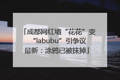 成都网红墙“花花”变“labubu”引争议 最新：涂鸦已被抹掉
