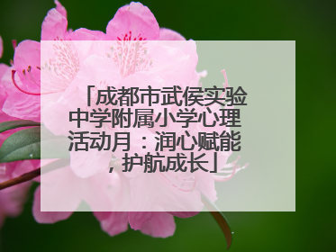 成都市武侯实验中学附属小学心理活动月：润心赋能，护航成长