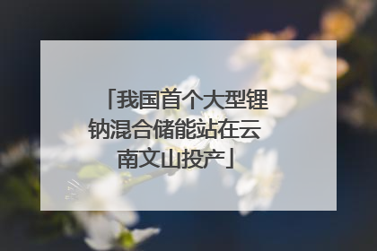 我国首个大型锂钠混合储能站在云南文山投产