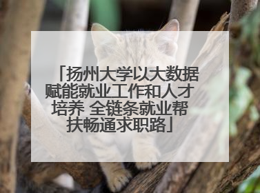 扬州大学以大数据赋能就业工作和人才培养 全链条就业帮扶畅通求职路