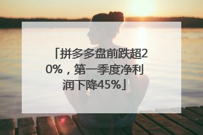 拼多多盘前跌超20%，第一季度净利润下降45%