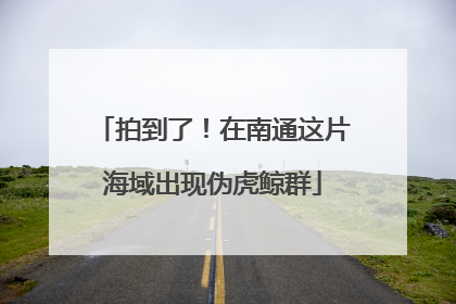 拍到了！在南通这片海域出现伪虎鲸群