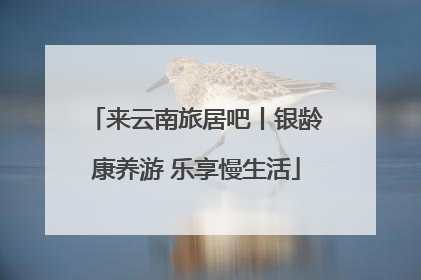 来云南旅居吧丨银龄康养游 乐享慢生活