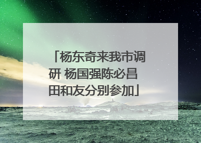杨东奇来我市调研 杨国强陈必昌田和友分别参加