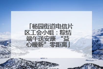 杨园街道电信片区工会小组：粽情端午送安康 “益心暖新”零距离