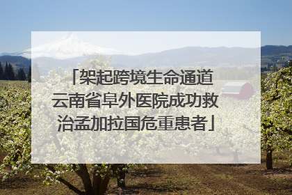架起跨境生命通道 云南省阜外医院成功救治孟加拉国危重患者