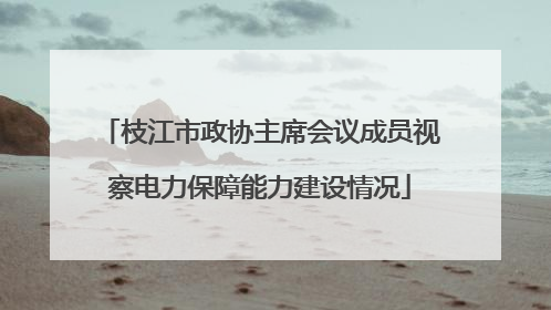 枝江市政协主席会议成员视察电力保障能力建设情况