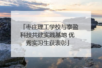 枣庄理工学校与泰盈科技共建实践基地 优秀实习生获表彰