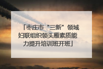 枣庄市“三新”领域妇联组织领头雁素质能力提升培训班开班