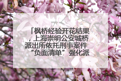 枫桥经验开花结果，上海崇明公安城桥派出所依托刑事案件“负面清单”强化派出所“主防”