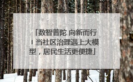 数智普陀 向新而行〡当社区治理遇上大模型，居民生活更便捷