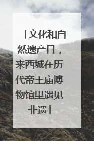 文化和自然遗产日，来西城在历代帝王庙博物馆里遇见非遗