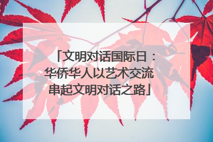 文明对话国际日：华侨华人以艺术交流串起文明对话之路