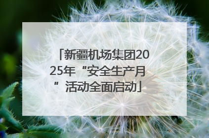 新疆机场集团2025年“安全生产月”活动全面启动