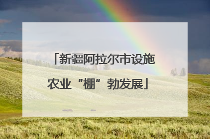 新疆阿拉尔市设施农业“棚”勃发展