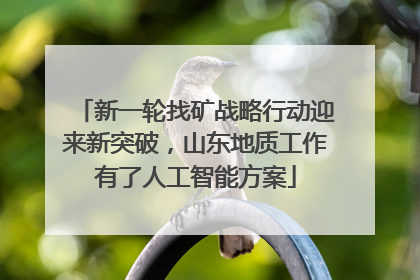 新一轮找矿战略行动迎来新突破，山东地质工作有了人工智能方案
