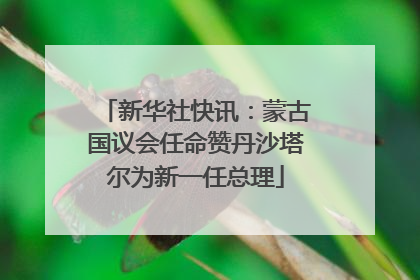 新华社快讯：蒙古国议会任命赞丹沙塔尔为新一任总理