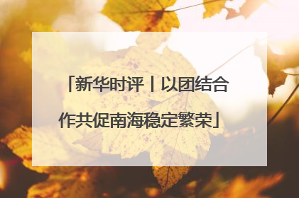 新华时评丨以团结合作共促南海稳定繁荣