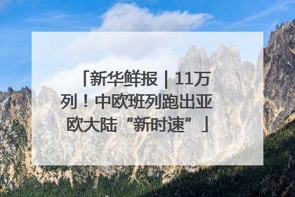新华鲜报｜11万列！中欧班列跑出亚欧大陆“新时速”