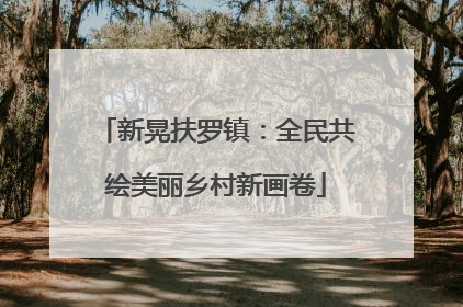 新晃扶罗镇：全民共绘美丽乡村新画卷