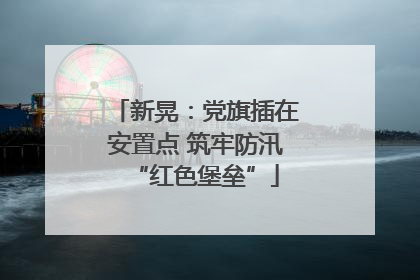 新晃：党旗插在安置点 筑牢防汛“红色堡垒”