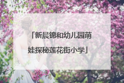 新晨锦和幼儿园萌娃探秘莲花街小学