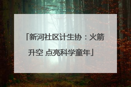 新河社区计生协：火箭升空 点亮科学童年