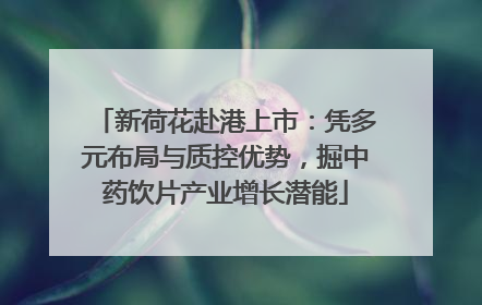 新荷花赴港上市：凭多元布局与质控优势，掘中药饮片产业增长潜能