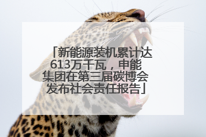 新能源装机累计达613万千瓦，申能集团在第三届碳博会发布社会责任报告