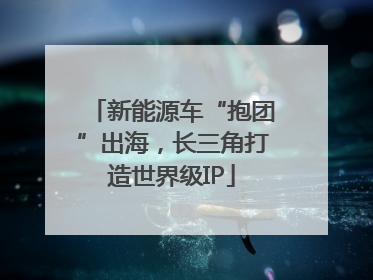 新能源车“抱团”出海，长三角打造世界级IP