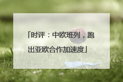 时评：中欧班列，跑出亚欧合作加速度
