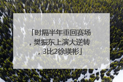 时隔半年重回赛场，樊振东上演大逆转，3比2徐瑛彬
