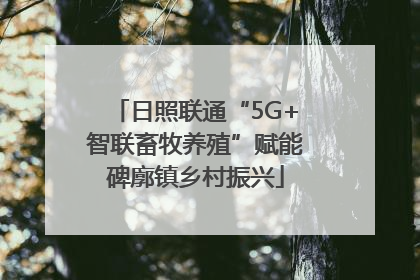 日照联通“5G+智联畜牧养殖”赋能碑廓镇乡村振兴