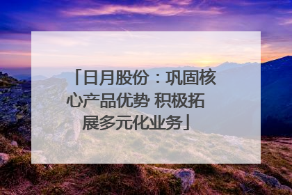 日月股份：巩固核心产品优势 积极拓展多元化业务