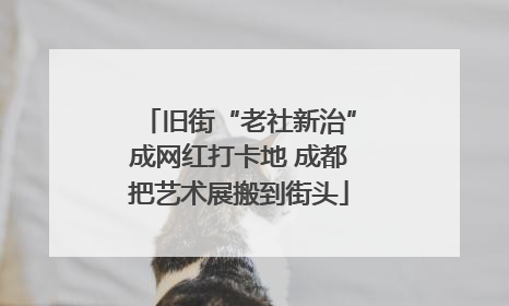 旧街“老社新治”成网红打卡地 成都把艺术展搬到街头