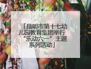 昆明市第十七幼儿园教育集团举行“乐动六一”主题系列活动