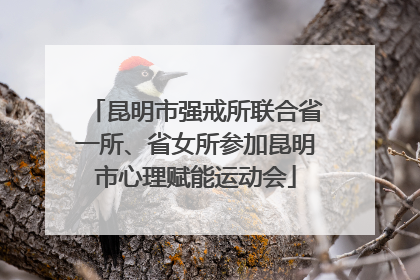 昆明市强戒所联合省一所、省女所参加昆明市心理赋能运动会