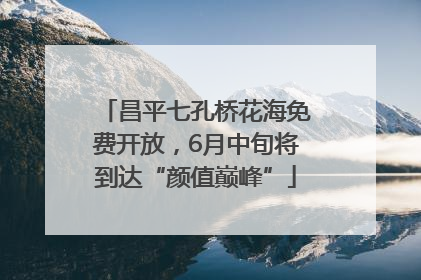昌平七孔桥花海免费开放，6月中旬将到达“颜值巅峰”