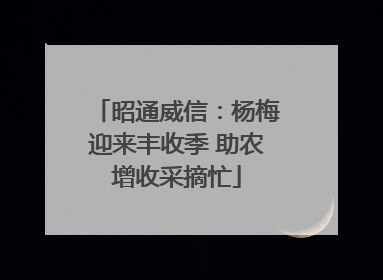 昭通威信：杨梅迎来丰收季 助农增收采摘忙
