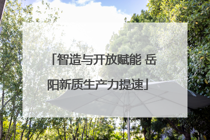 智造与开放赋能 岳阳新质生产力提速