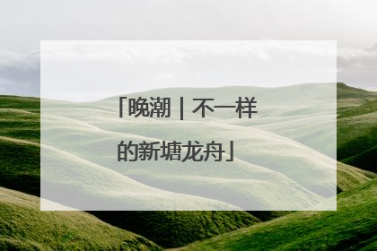 晚潮｜不一样的新塘龙舟