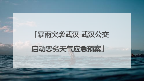 暴雨突袭武汉 武汉公交启动恶劣天气应急预案