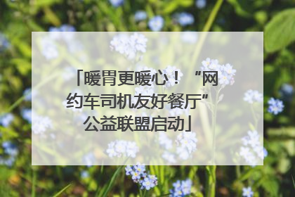 暖胃更暖心！“网约车司机友好餐厅”公益联盟启动