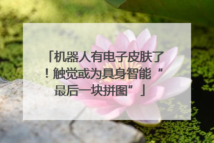 机器人有电子皮肤了！触觉或为具身智能“最后一块拼图”