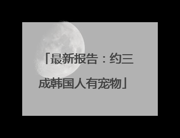 最新报告：约三成韩国人有宠物