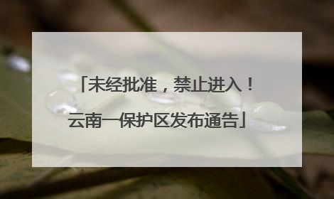 未经批准，禁止进入！云南一保护区发布通告
