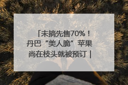 未摘先售70%！丹巴“美人脆”苹果尚在枝头就被预订｜长征路上看四川