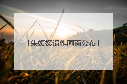 朱媛媛遗作画面公布