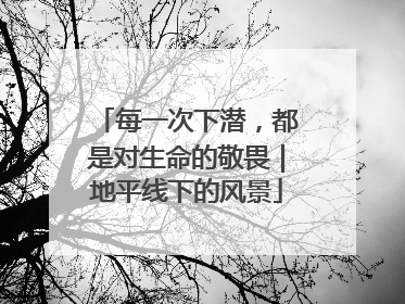每一次下潜，都是对生命的敬畏｜地平线下的风景
